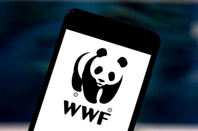 WWF России будет оспаривать статус иноагента в суде и не планирует приостанавливать работу