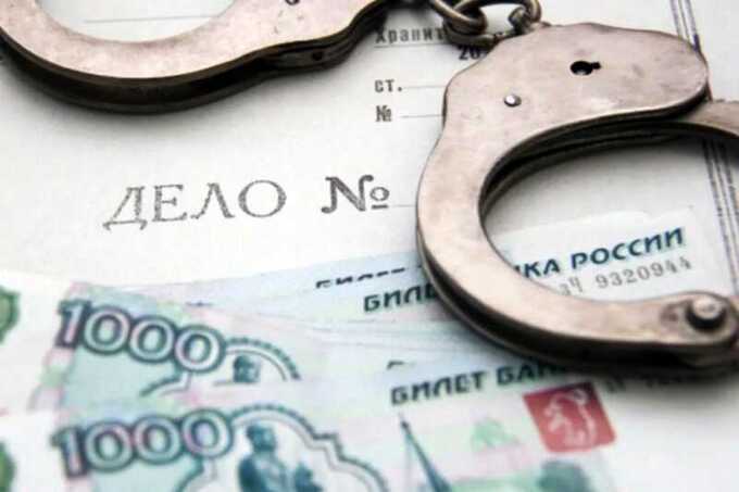 Семья Смоянов оказалась под подозрением в нарушении налогового законодательства из-за пивного бизнеса
